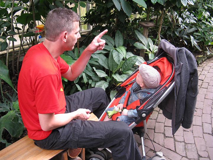 Imme 18 mei 2008 Blijdorp (45).JPG